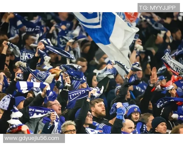 沙尔克04陷入泥潭,德甲保级前景蒙上阴影 沙尔克04陷入泥潭,德甲保级前景蒙上阴影